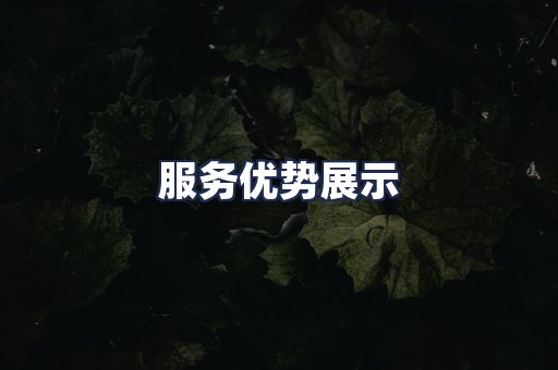 服务优势展示
